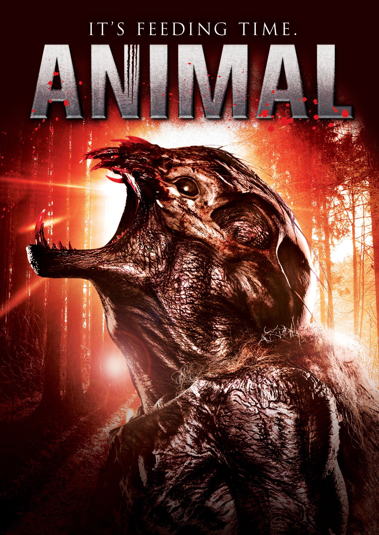 Animal | Amazon.com.br